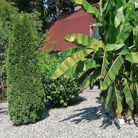 Case de vacanță Kucerak Na Drini