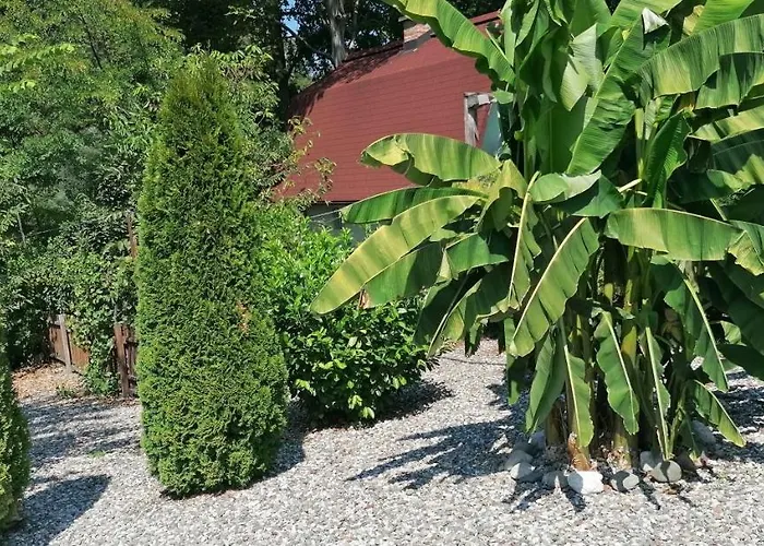 Prázdninový dům Kucerak Na Drini