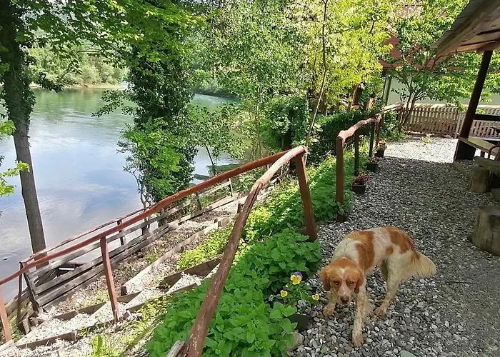 Kucerak Na Drini Bajina Basta